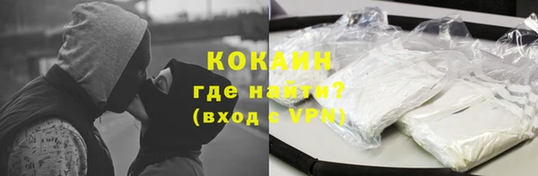 крисы Алзамай
