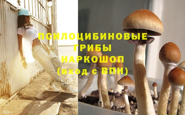 apvp Алексин