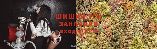 крисы Алзамай