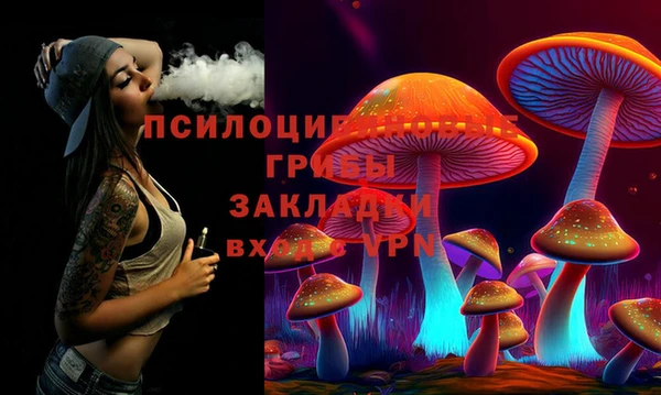 крисы Алзамай