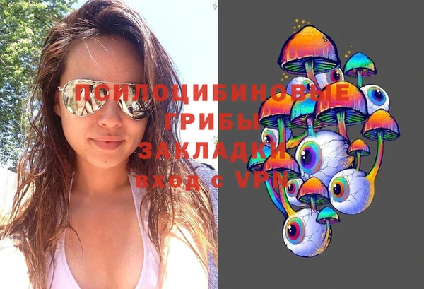 крисы Алзамай