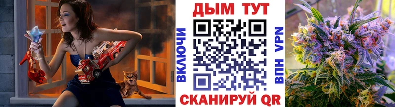 наркошоп  Полысаево  Бошки марихуана план 